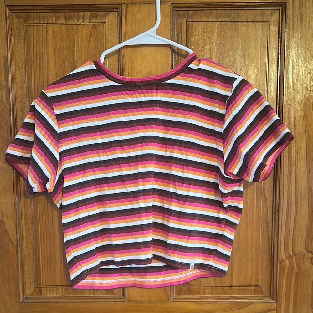 Dickies Striped Multicolor T-Shirt